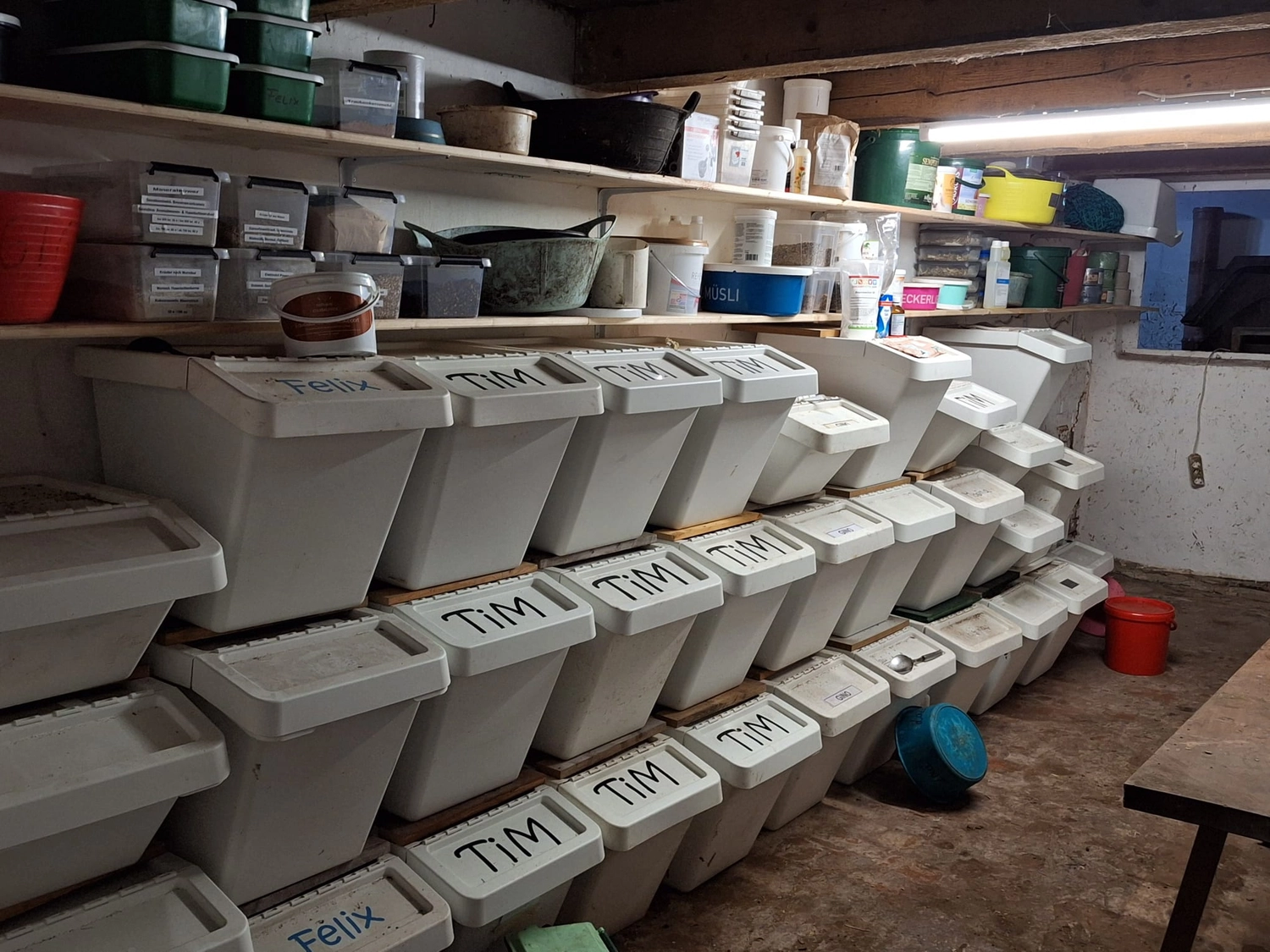 Hof ShaBaLi - Pferdehof - Pferde