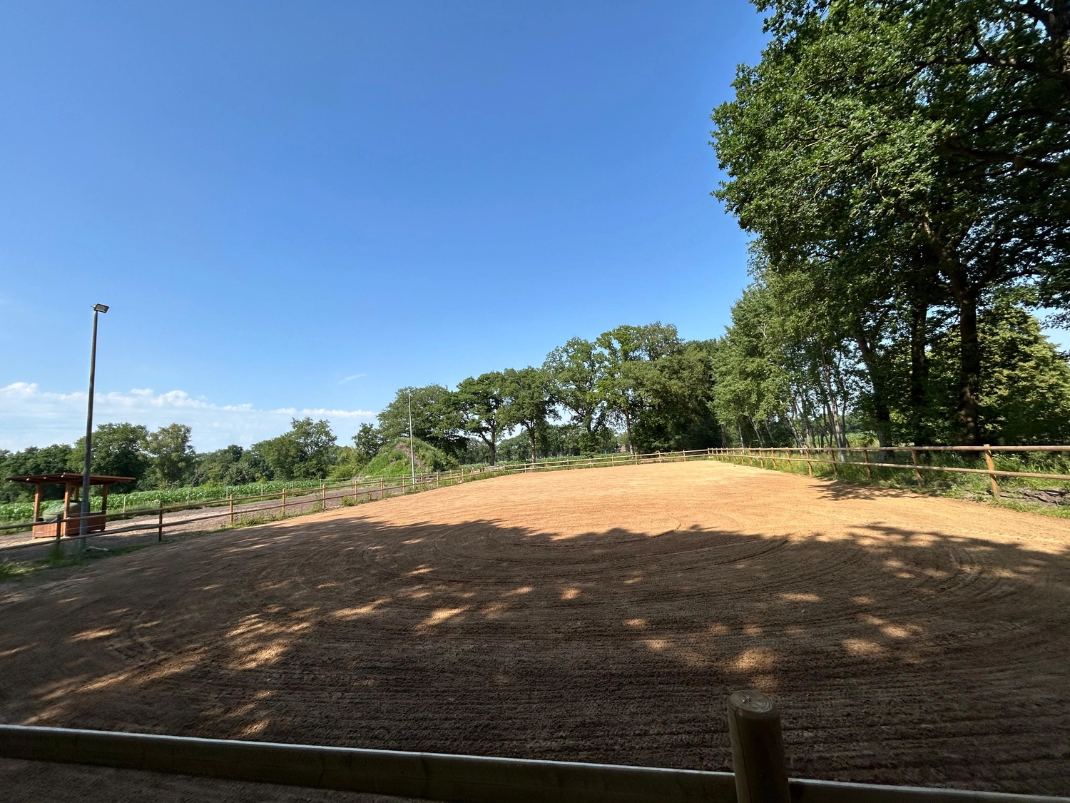 Hof ShaBaLi - Pferdehof - Pferde