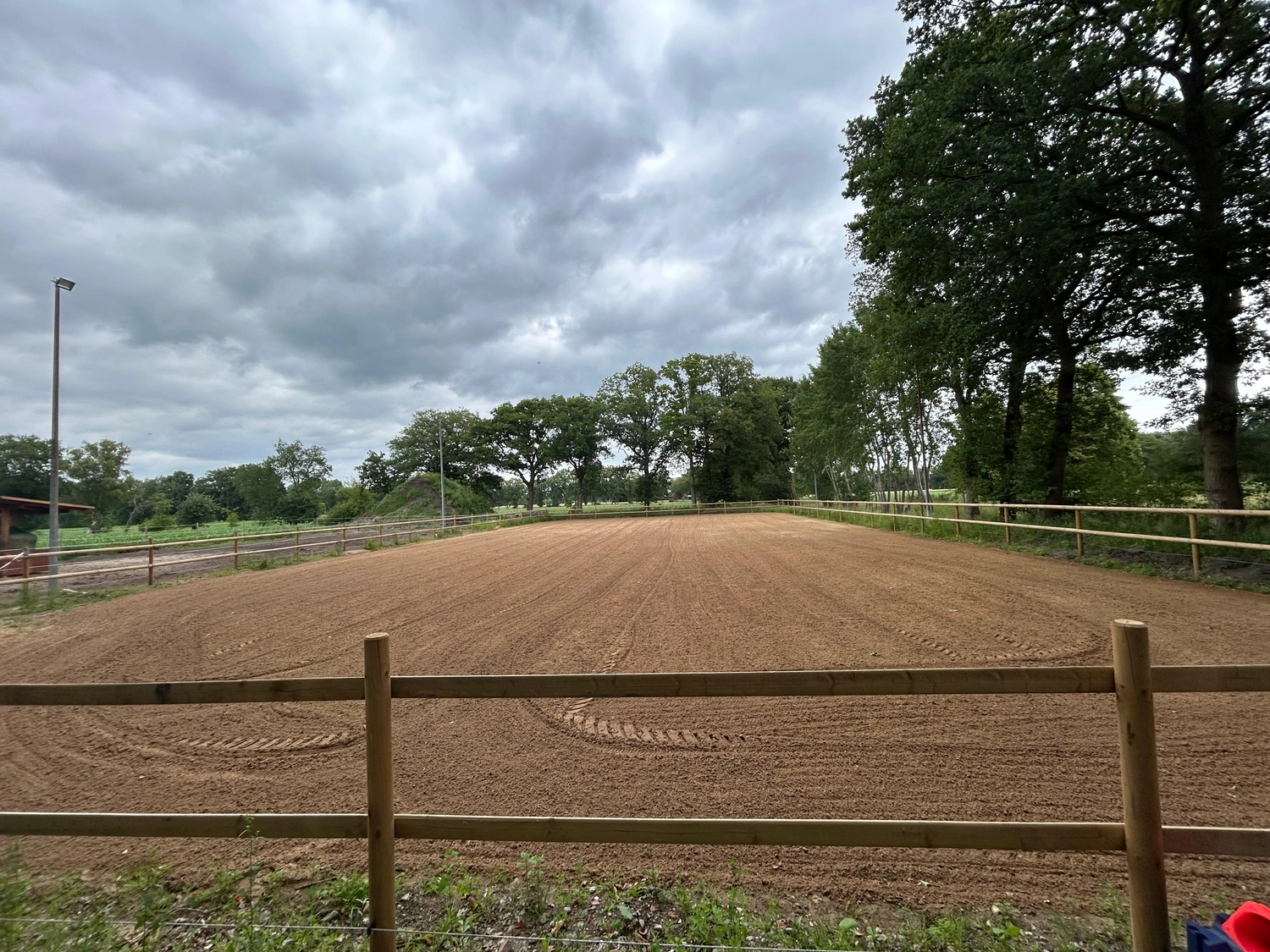 Hof ShaBaLi - Pferdehof - Pferde