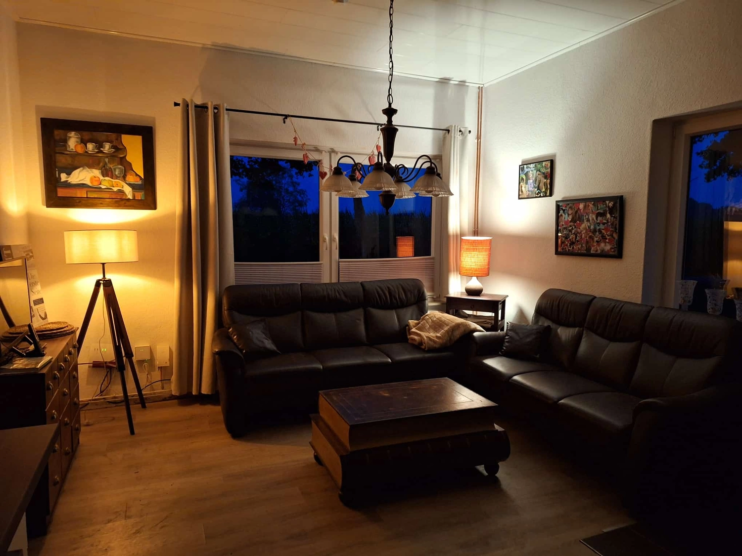 Hof ShaBaLi - Pferdehof - Pferde