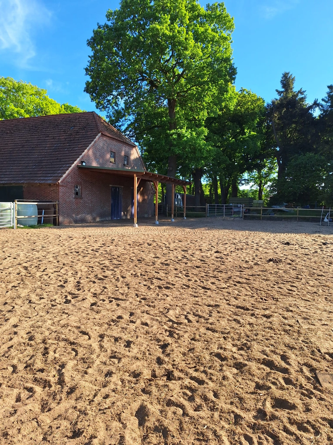 Hof ShaBaLi - Pferdehof - Pferde