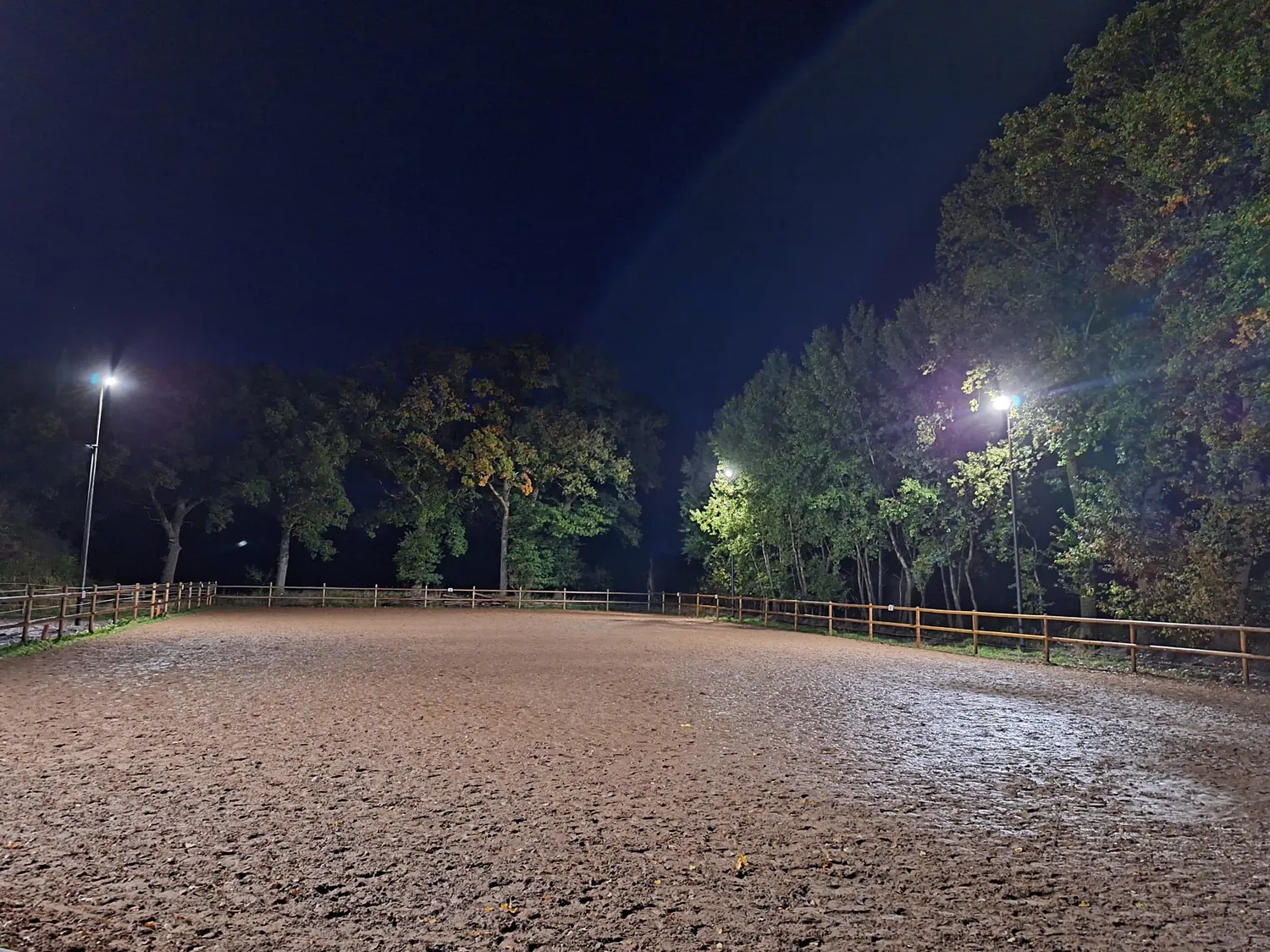 Hof ShaBaLi - Pferdehof - Pferde